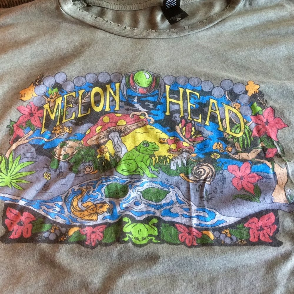 Alternative Vintage Soft Cop A Feel Melon Head T-Shirt Large Women's